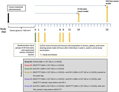 Targeting regulatory T cells by E7777 enhances CD8 T-cell–mediated anti-tumor activity and extends survival benefit of anti-PD-1 in solid tumor models